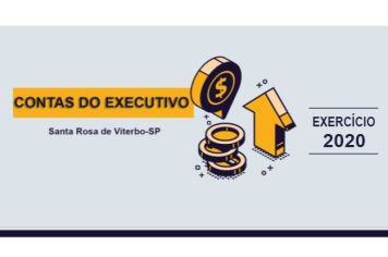 Contas do Poder Executivo - Exercício 2020